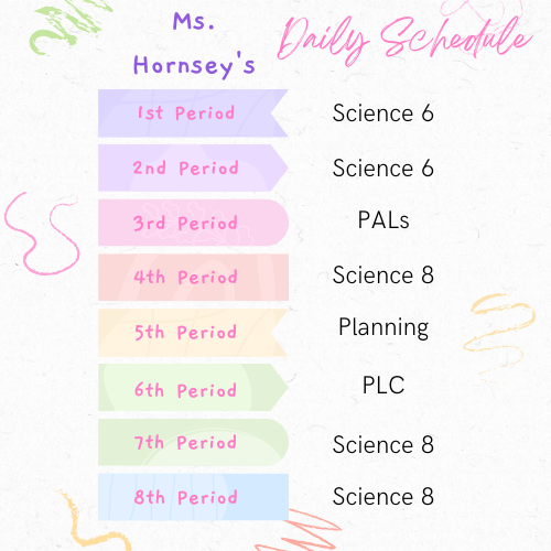 Daily Schedule